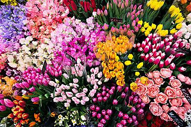 《寂静岭2：重制版》Steam后台添加成就信息 发售日期或将公布